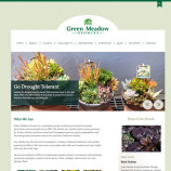 Green Meadows Website